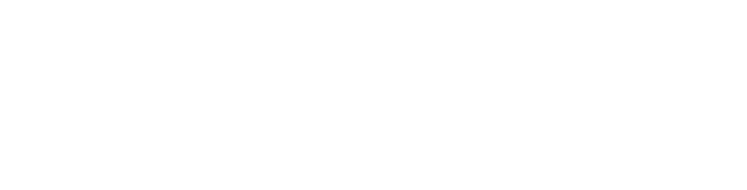 Promise Cosmetics logo
